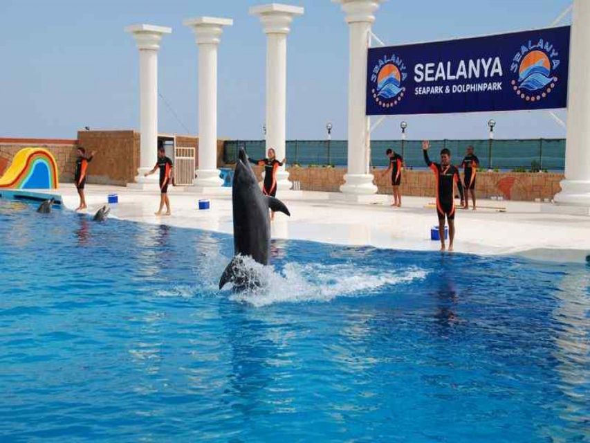 Alanya: Dolphin and Seal Show Ticket with Hotel Transfers - Key things that make this Alanya dolphin and seal show worth your time