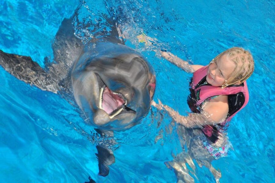 Alanya: Dolphin and Seal Show Ticket with Hotel Transfers - What to know about accessibility and the staff languages