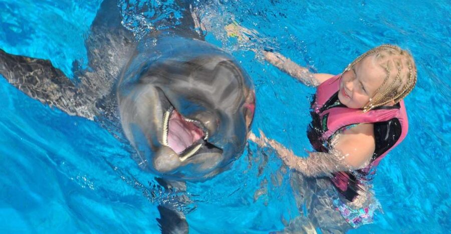 Alanya: Dolphin and Seal Show Ticket with Hotel Transfers - Dolphins and seals up close, without needing extra bookings