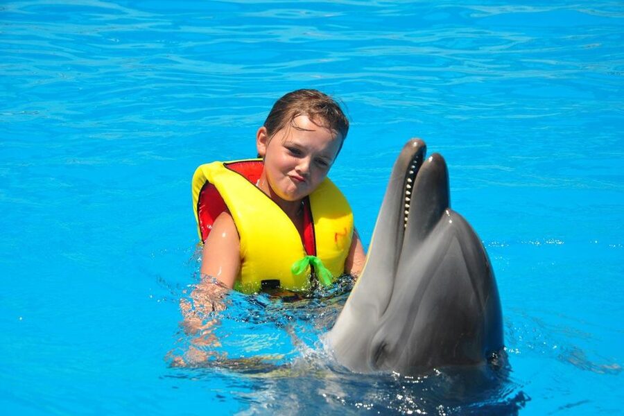 Alanya: Dolphin and Seal Show Ticket with Hotel Transfers - Price and value: is $40 a fair deal for this Alanya show?