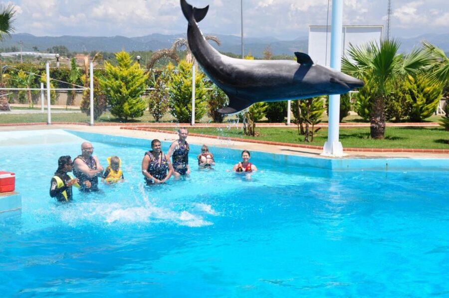 Alanya: Dolphin and Seal Show Ticket with Hotel Transfers - Who this tour suits best (and who might want a different plan)