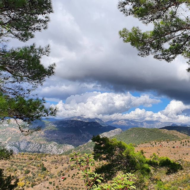 Alanya Family Jeep Safari: Scenic Adventure for All Ages - The Taurus Climb: Pine Forest Roads and the Big Alanya Panorama