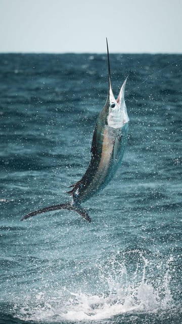 Alanya: Fishing Tour with Equipment and Lunch - Pick-up in Alanya: small details that matter