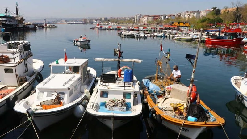 Alanya: Fishing Tour with Lunch and Hotel Transfers - Key things to know before you go
