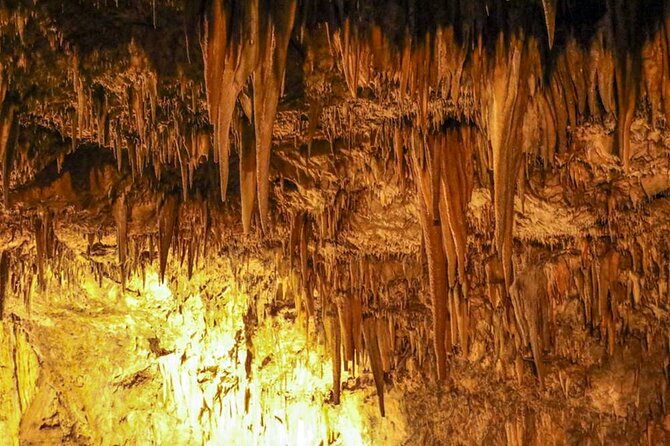 Alanya Highlights: Sapadere Waterfalls, Dim Cave & Dim River - Sapadere Canyon Waterfalls: the 385-meter walk and that icy swim