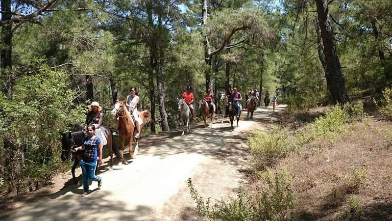 Alanya: Horse Riding Adventure - Key points at a glance