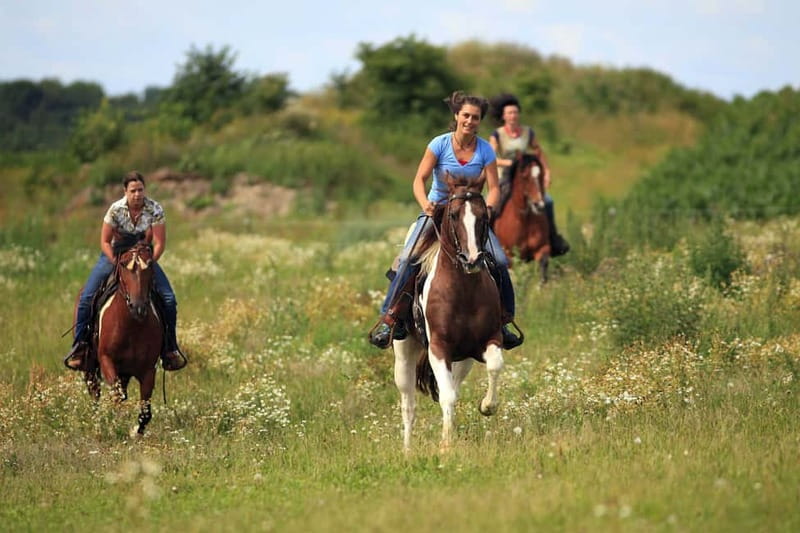 Alanya: Horse Riding Adventure - From the outskirts of Alanya to the Taurus Mountains