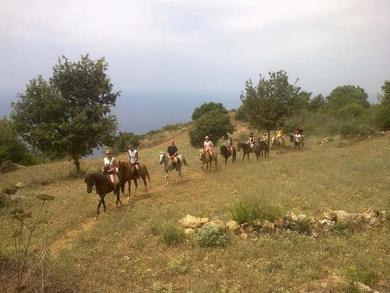 Alanya: Horse Riding Adventure - Price and value: is $74 worth it?