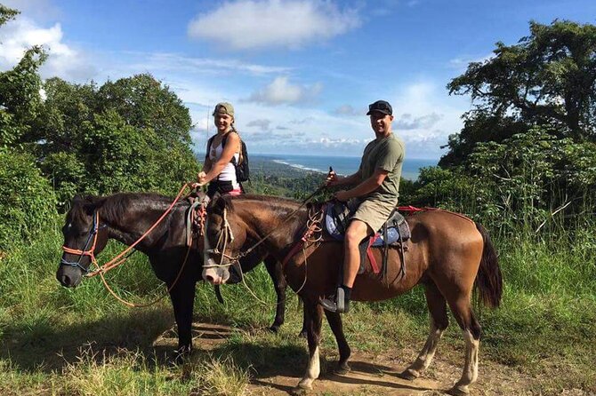 Alanya Horse Riding Experience With Free Hotel Transfer - Key things to know before you go
