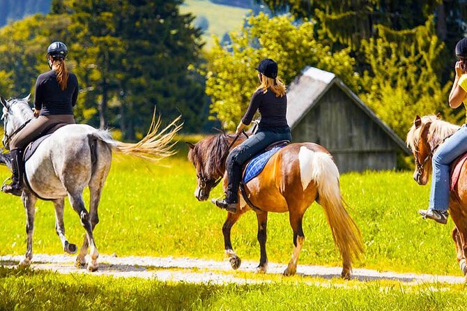 Alanya Horse Riding Experience With Free Hotel Transfer - After Syedra: continuing toward a village and getting back safely