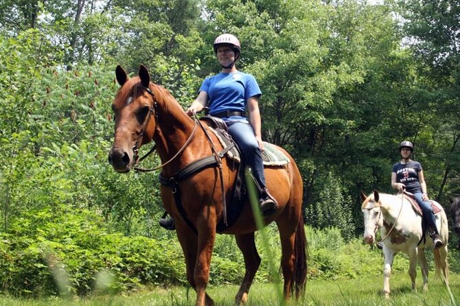 Alanya Horse Riding Experience With Free Hotel Transfer - Safety and guiding: what you’re actually paying for