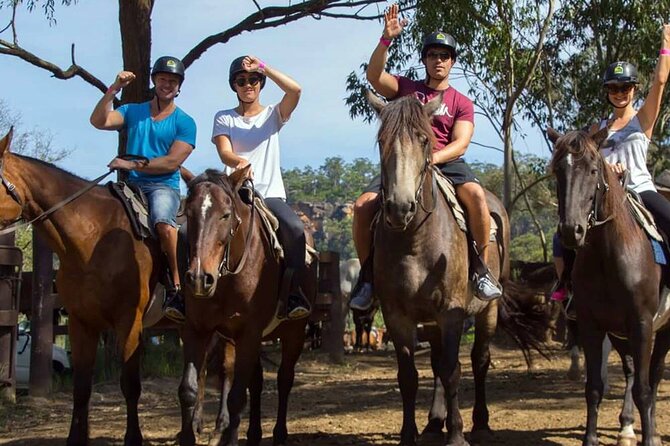 Alanya Horse Riding Experience With Free Hotel Transfer - Who should book this horse ride (and who shouldn’t)