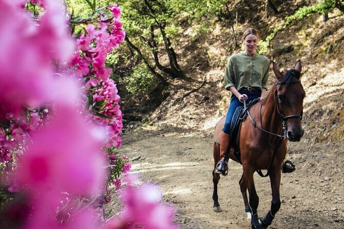 Alanya Horse Riding Experience With Free Hotel Transfer - Getting there: free hotel pickup and a small group feel