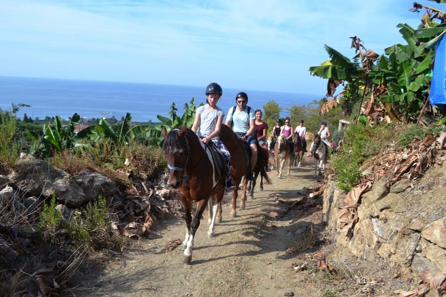 Alanya: Horse Riding Tour - Who this suits best (and who should skip it)