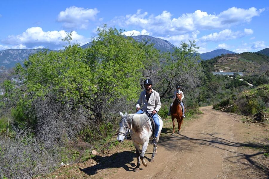 Alanya: Horse Riding Tour - Pickup to the horse farm: timing you can actually plan around