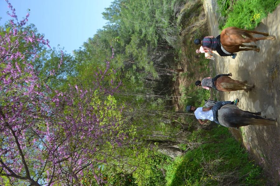 Alanya: Horse Riding Tour - Syedra remnants on horseback: history without the museum pace