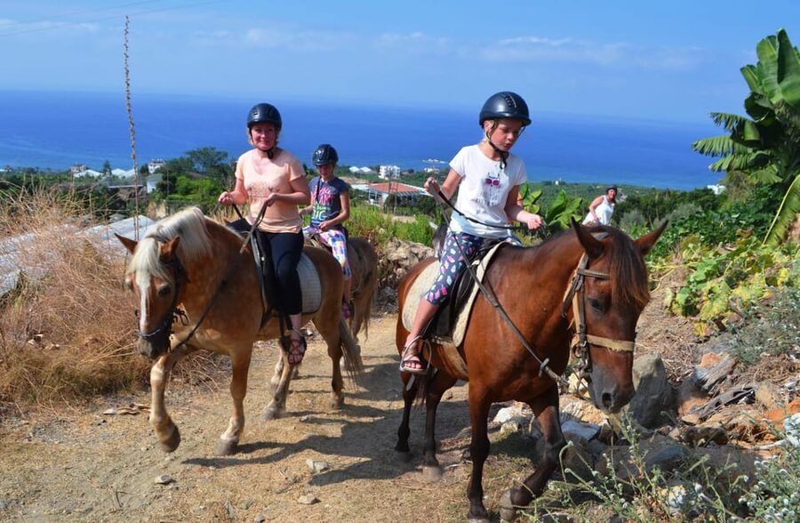 Alanya: Horse Riding Tour - Trainers, safety, and beginner comfort: what matters on the ground