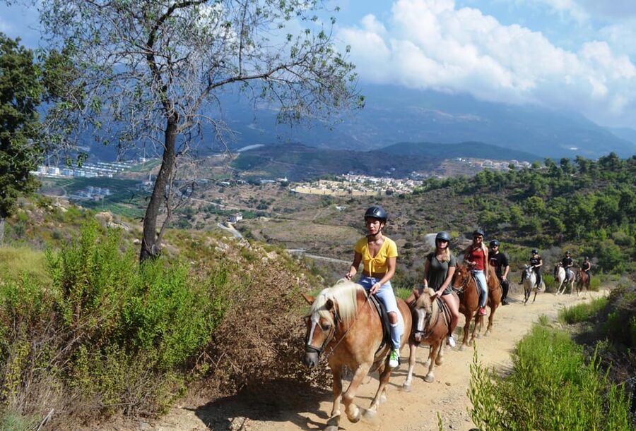 Alanya: Horse Riding Tour - Tea at the horse farm: the calm reset after the saddle