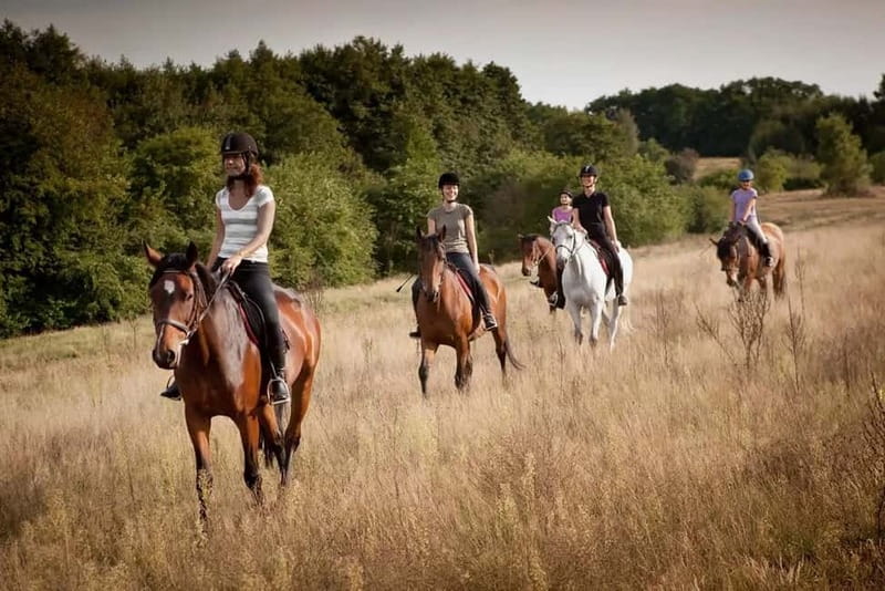 Alanya: Horse Riding Tour with Hotel Transfers - Key Highlights Worth Your Time