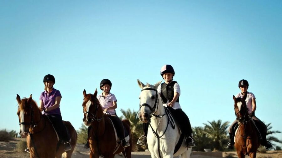 Alanya: Horse Riding Tour with Hotel Transfers - Horse Care and the Real World of Animal Experiences