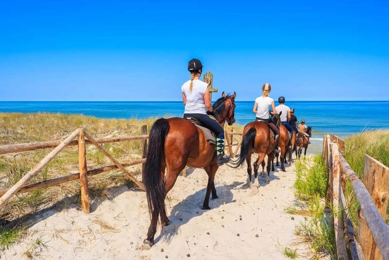 Alanya: Horse Riding Tour with Hotel Transfers - Training Before You Mount: No Experience Needed, But Listen Closely