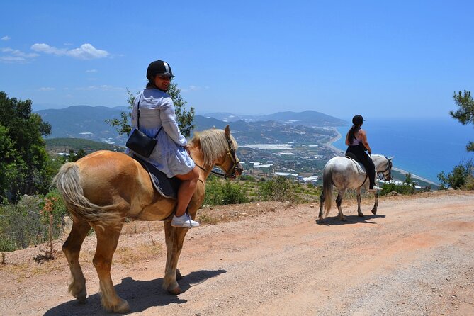 Alanya Horseback Riding in the Taurus Mountains with Transfer - Horses for mixed skill levels: safety, control, and comfort