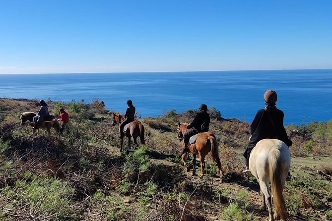 Alanya Horseback Riding in the Taurus Mountains with Transfer - Who should book this, and who might want a different plan