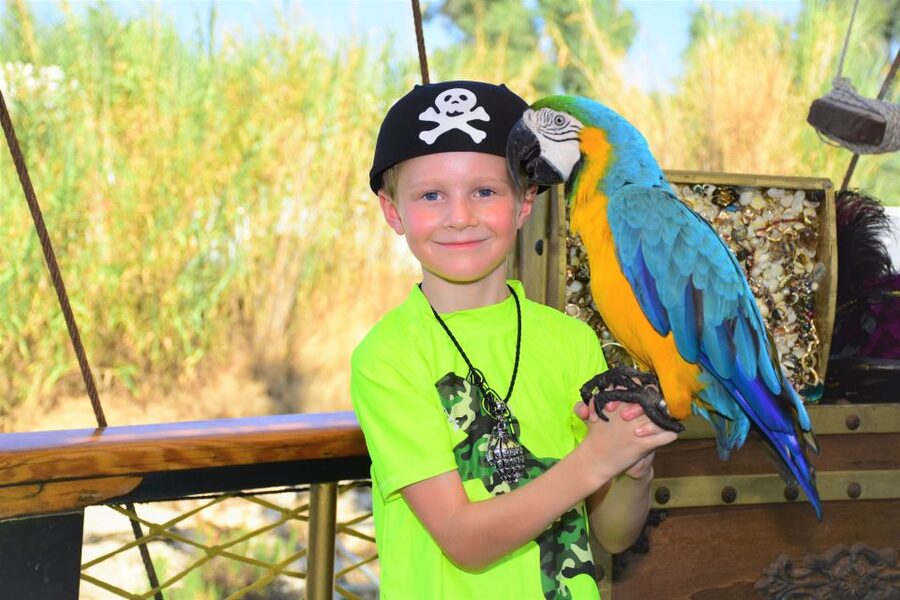 Alanya: Pirate Boat Trip with Meal, Drinks and Pickup Option - Swim breaks and the cave stops: Bosphorus, Lovers’ Cave, Maiden Cave