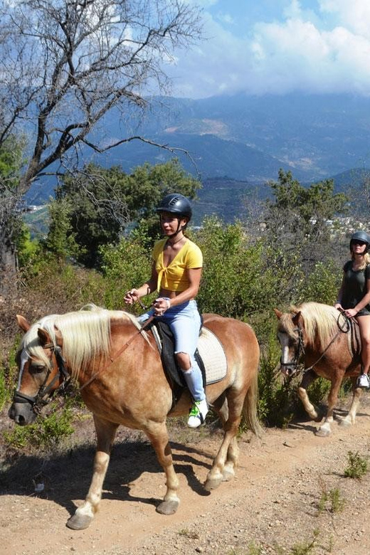 Alanya: Private Horse Safari - Key highlights to know before you go