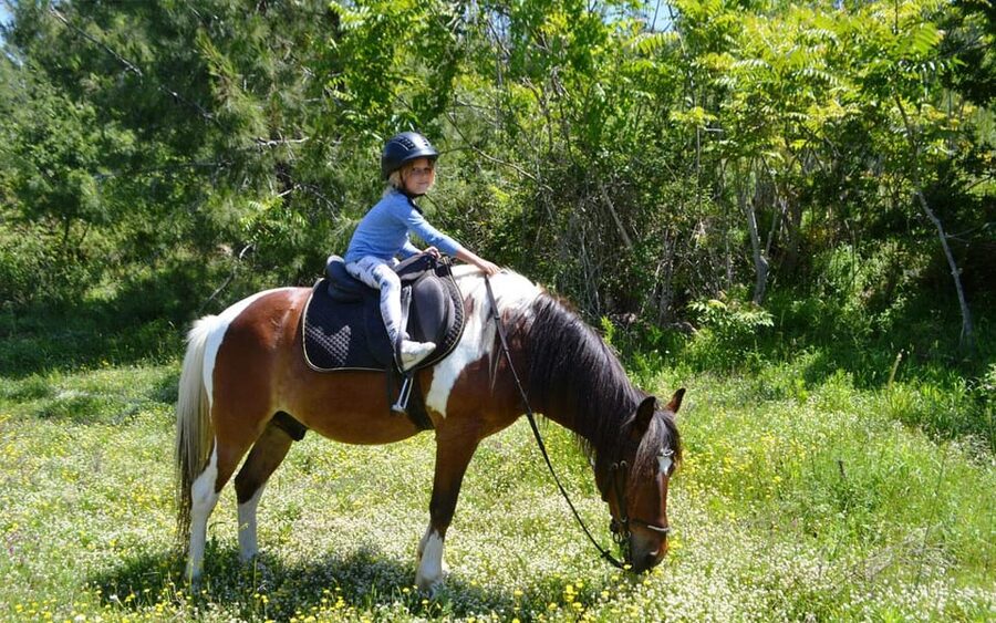 Alanya: Private Horse Safari - Price and value: is $77 per person fair?