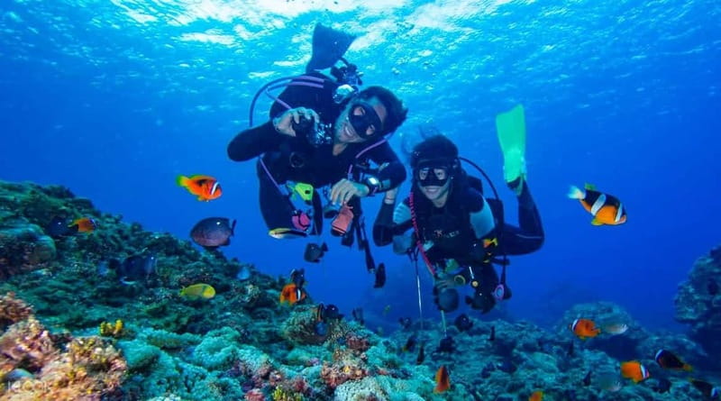 Alanya: Scuba Diving Adventure for Beginners & Professionals - Key Highlights That Matter