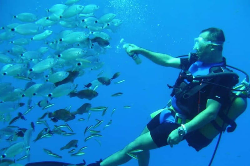 Alanya: Scuba Diving Adventure for Beginners & Professionals - Price and Value Check: Is $51 a Good Deal?
