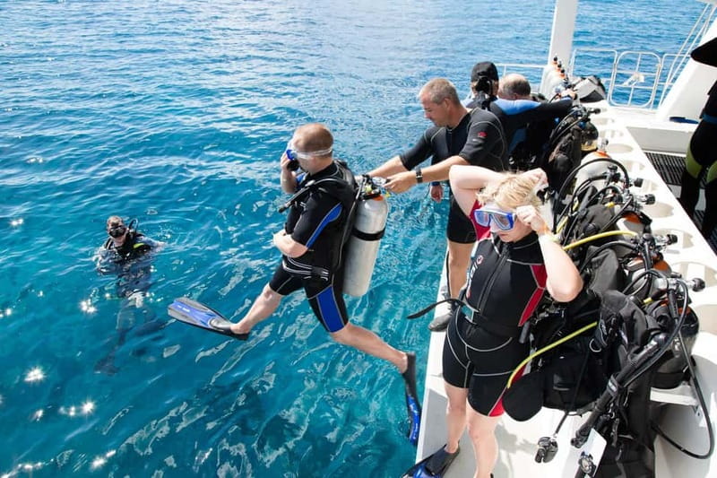 Alanya: Scuba Diving Adventure for Beginners & Professionals - Alanya Scuba Tour: What You’re Really Paying For