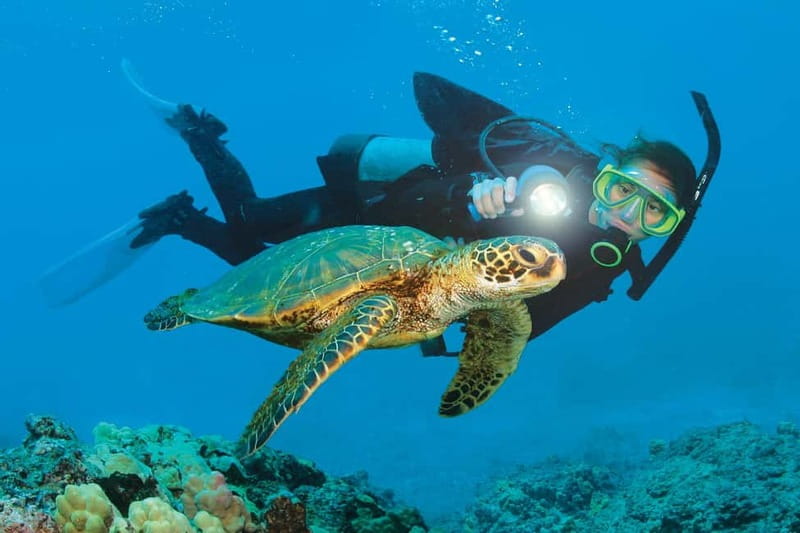 Alanya: Scuba Diving Adventure for Beginners & Professionals - First Underwater Session at 3–5 Meters: Learning by Doing