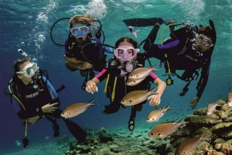 Alanya: Scuba Diving Adventure for Beginners & Professionals - Underwater Photo/Video: The Mandatory Catch