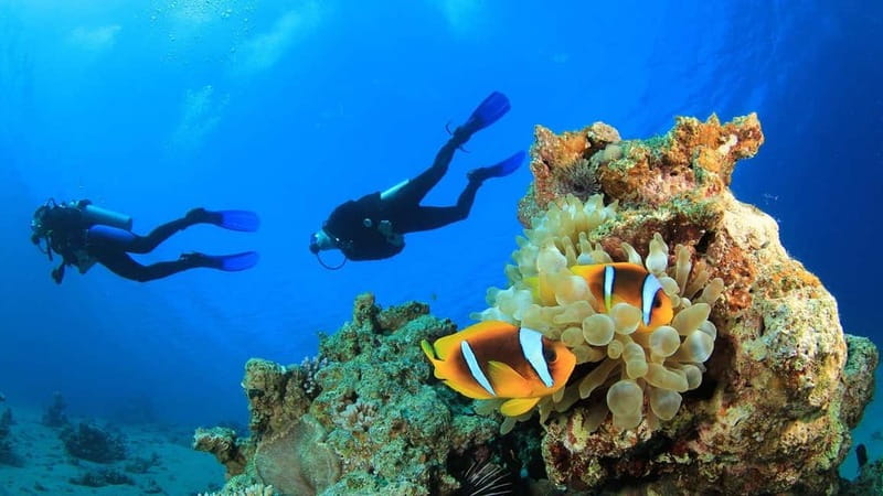 Alanya: Scuba Diving Adventure for Beginners & Professionals - Languages and Group Experience: Who It Works Best For