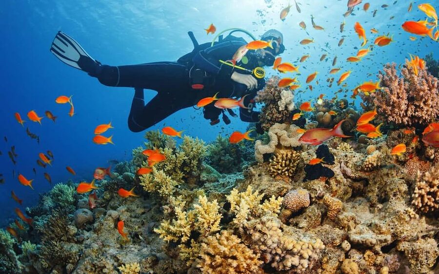 Alanya:Scuba Diving Boat Trip with Lunch and Transfer - Hotel transfer from Okurcalar to Oba: how the day starts