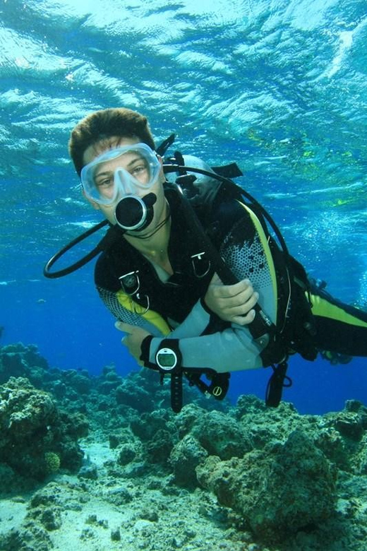 Alanya:Scuba Diving Boat Trip with Lunch and Transfer - Two reef-focused underwater sessions: what you’ll see (and what can change)