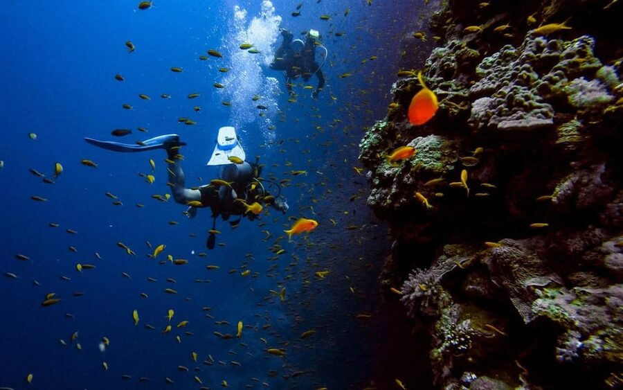 Alanya:Scuba Diving Boat Trip with Lunch and Transfer - Is it worth the money? My take on value