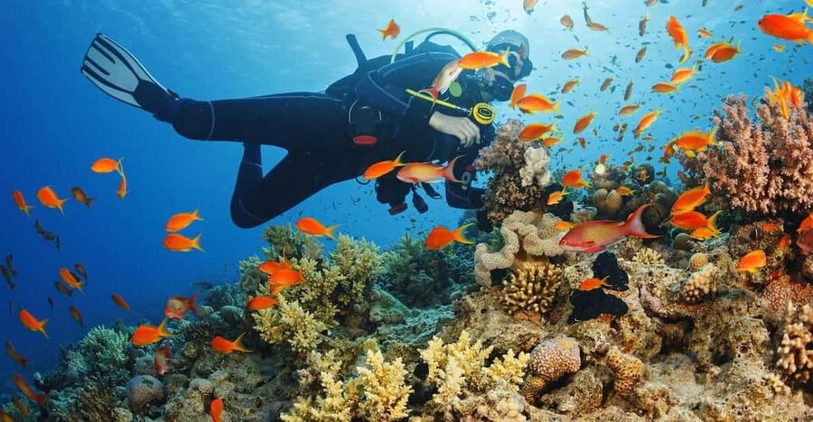Alanya:Scuba Diving Boat Trip with Lunch and Transfer - Getting geared up and taught: what the staff focuses on