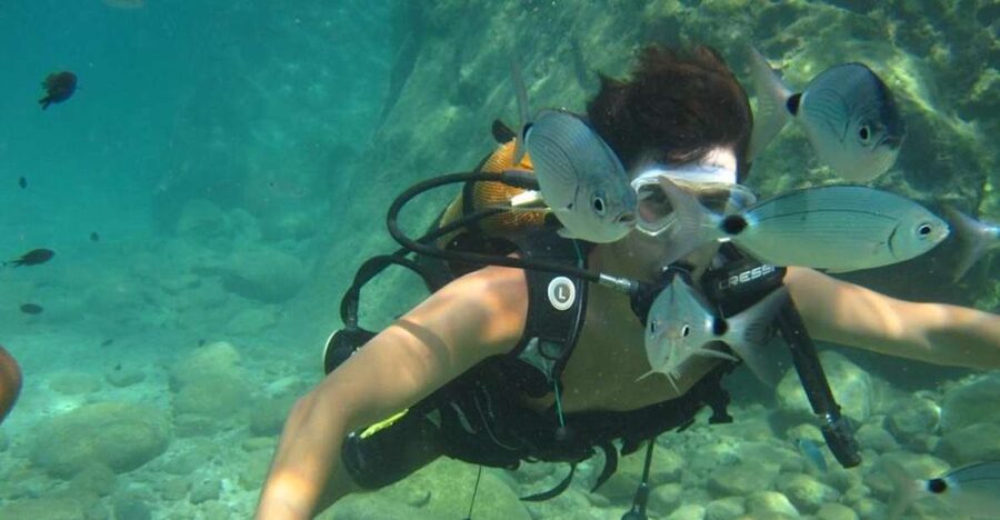 Alanya: Scuba Diving Experience with Lunch - First Underwater Session: What to Expect in About 20 Minutes