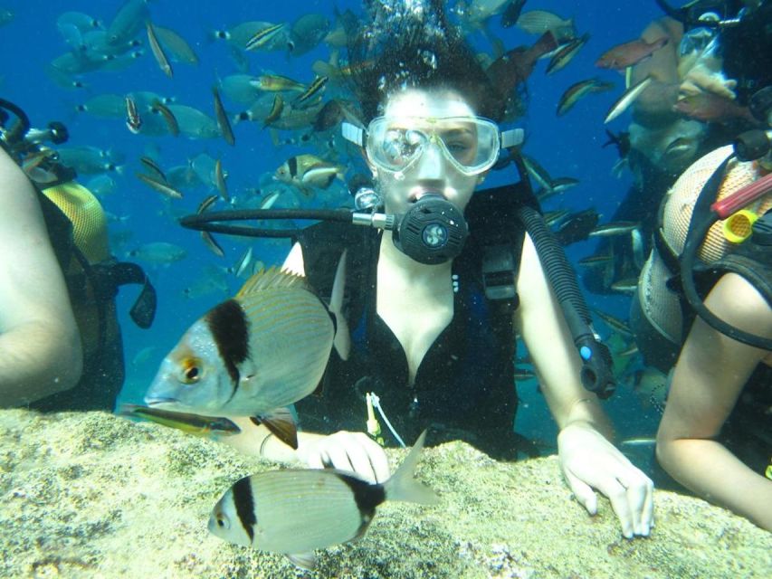 Alanya: Scuba Diving Experience with Lunch - Timing and Logistics: A Day That Ends Around 3 pm