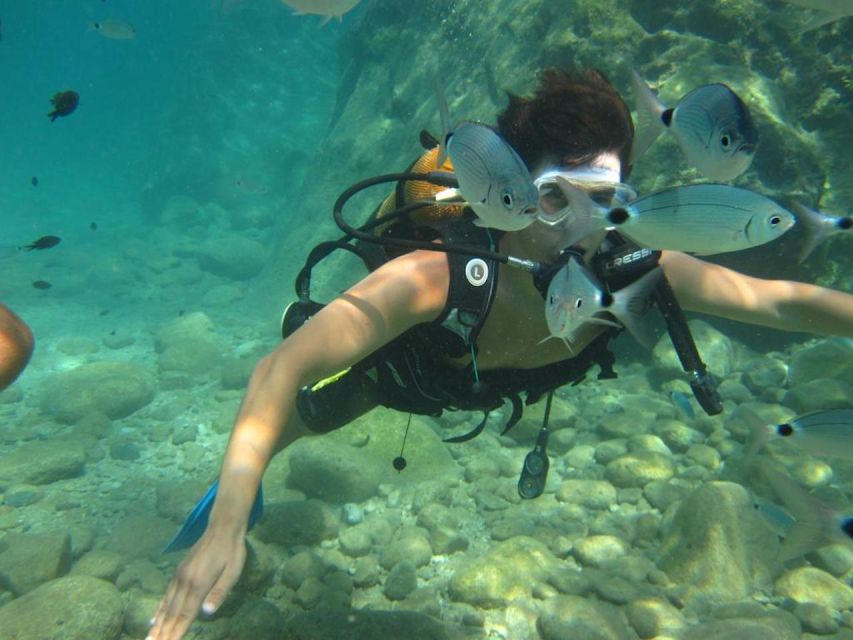 Alanya: Scuba Diving Experience with Lunch - Gear, Briefing, and the Safety Check You Should Actually Watch