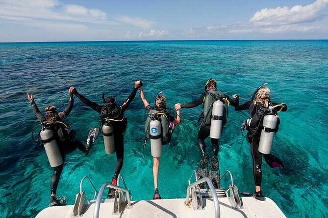 Alanya : Scuba Diving for Beginners w/ Lunch and Transfer - Key Highlights You’ll Care About