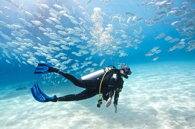 Alanya : Scuba Diving for Beginners w/ Lunch and Transfer - Alanya Hotel Pickup and the Ride to the Türkler Harbor