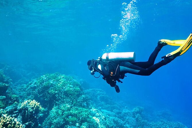 Alanya : Scuba Diving for Beginners w/ Lunch and Transfer - Gear, English Support, and Safety Coaching for First-Timers