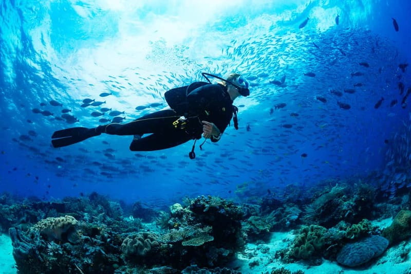 Alanya: Scuba Diving Tour With Lunch - Getting to the harbor: pickup timing and getting set up