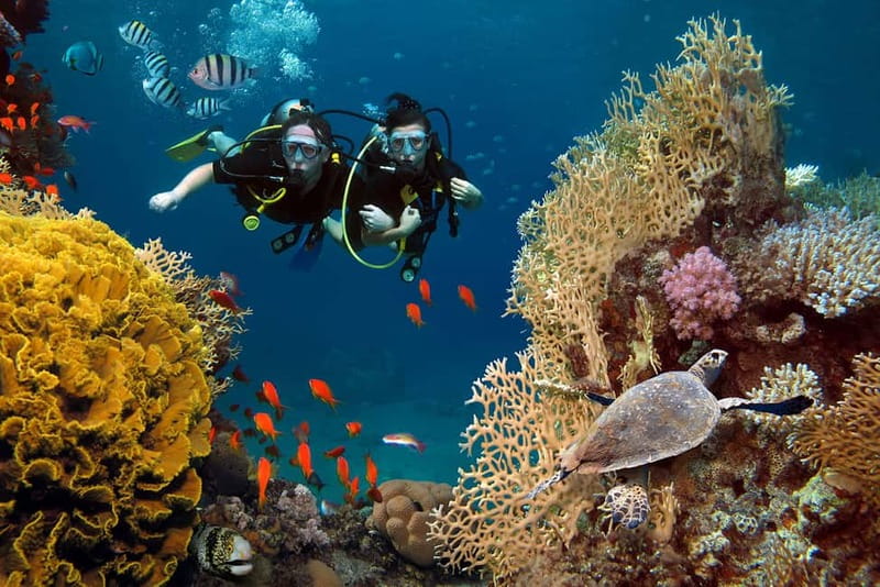 Alanya: Scuba Diving Tour with Lunch and Hotel Transfers - Key things to notice before you go