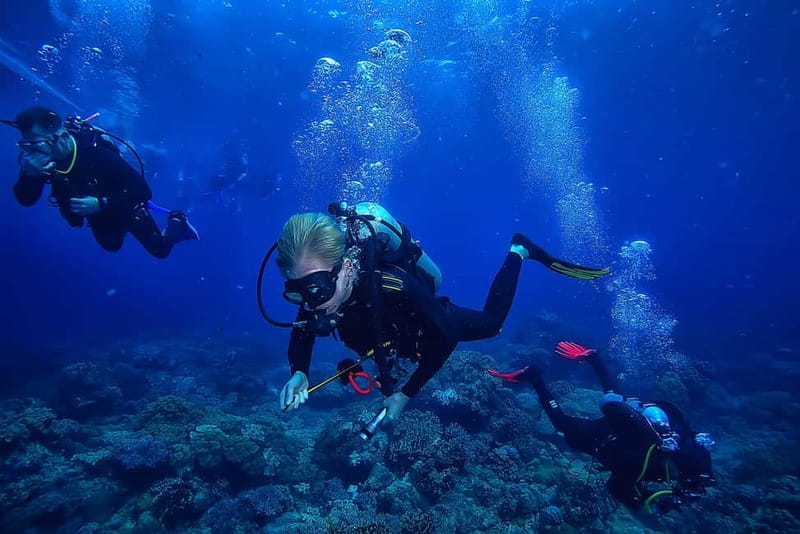 Alanya: Scuba Diving Tour with Lunch and Hotel Transfers - Your Alanya underwater day, in plain terms