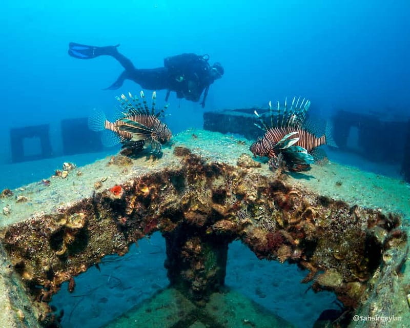Alanya: Scuba Diving Tour with Lunch and Hotel Transfers - The underwater highlights: caves, reefs, and sea life